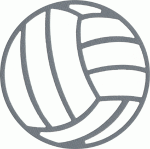 Volleyball / volleyball REV-0099DK