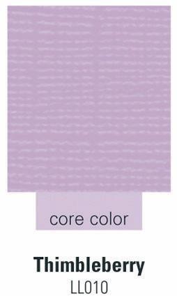 Darice ColorCore Cardstock thimbleberry 30,5 cm X 30,5 cm 1170 -LL01