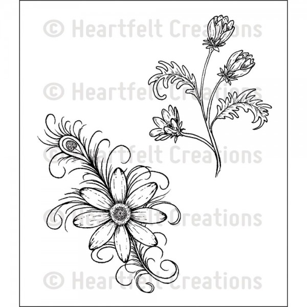 Heartfelt Creations Stempel Feathered Daisy HCPC-3657