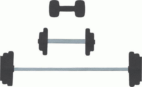 Gewichte / weights REV-0299-S