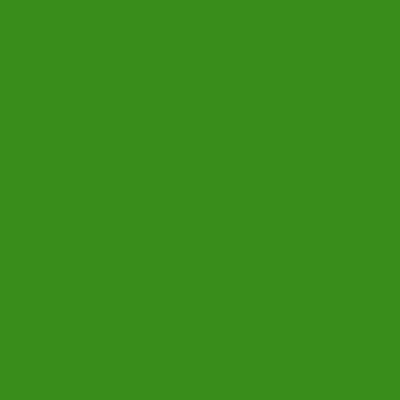 Efco Color-Dekor-Folie grün 9408067