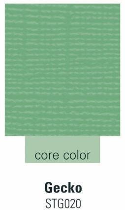Darice ColorCore Cardstock gecko 30,5 cm X 30,5 cm 620 -STG02