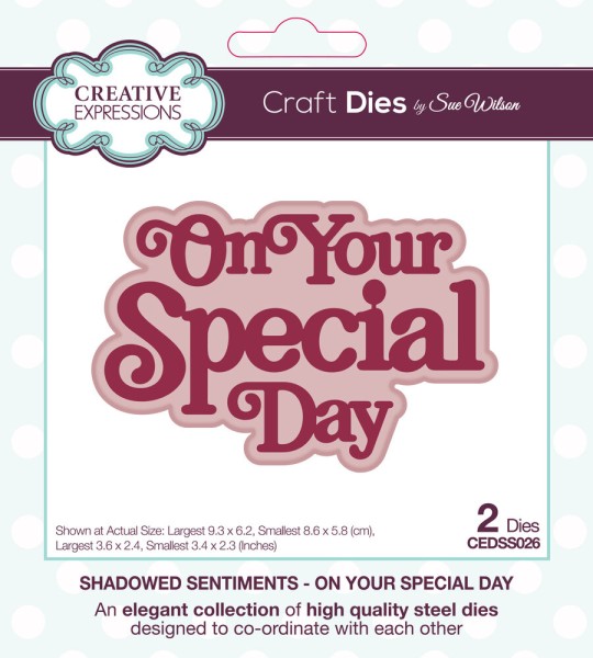 Creative Expressions Stanzform Mini Shadowed Sentiments ' On Your Special Day ' CEDSS026