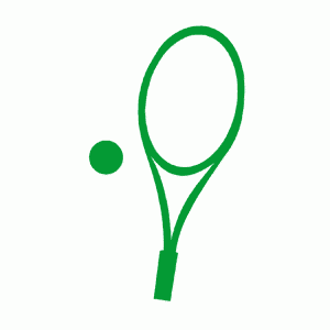 Tennisschläger / tennis racket T 1050 L ( 9 )