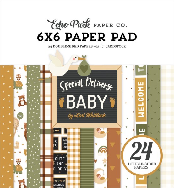 Echo Park Paperpad 6 " x 6 " SPECIAL DELIVERY BABY SDY355023