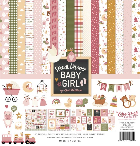 Echo Park Paperpad 12 " x 12 " Collection Kit SPECIAL DELIVERY BABY GIRL SDG354016